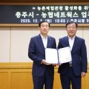 송네트웍스