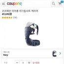 코코제인 이미지