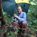 행정용 40 이미지