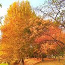 수원농장 이미지