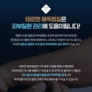 테르엔 이미지