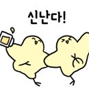화개포차