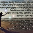 촌닭곰탕 이미지