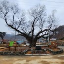 두모1리 이미지