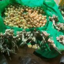 푸른별어린이집 이미지