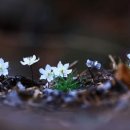 스피드노래방 이미지