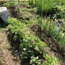 새순2농장 이미지