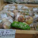 김천수농장 네이버블로그