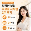 직장인 부업 무료로 시작해본 후기 체험단 지원해서 $5,000 계좌 받아본 2주 (솔직 후기)