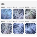 서면두피관리 힐링되고 개운한 두피케어 두피지컬