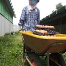 외서농장 이미지