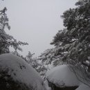 강산