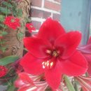 천마산역 이미지