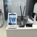 디문트헤어