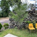 각이진별 이미지