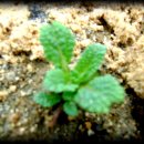 연동농장 이미지