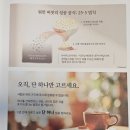 도서관에 온(on) 유튜버 | [한국투자증권 무료 청소년 주식 경제교실] 66만 유튜버 이효석 님의 멋진 강연(자녀 계좌개설 이벤트)