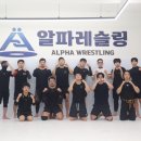 알파레슬링 이미지