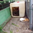 2025.08.09. 울산 울주 환희목장 후사랑밀크