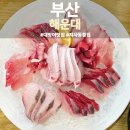 부산지사동우체국 | 지사동 대방어 맛집 해운대 횟집