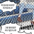 연투데이 | 드디어 엔팍에서 두산 승요가 되다: 250629 두산 vs NC 직관 후기