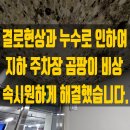 금성면사무소 | 대전 곰팡이 제거, 원상복구 전문! 완전 대박 입니다.