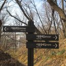 우면산3-28 이미지