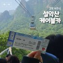 해맞이 벌꿀 | 강원 속초시 ㅡ 설악산케이블카 / 허니홈비 벌꿀 아이스크림