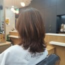 로즐리헤어 이미지