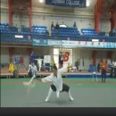 NTDTV Martial Arts Competion 2008 Wudang Fuchen 이미지
