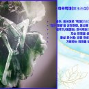 기린국제공인중개사사무소 | 당진토클 대만여행기 제3집,나이스공인중개사