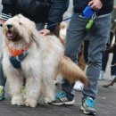 강북오토 이미지