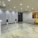 인천강아지분양판도라독가정분양
