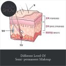 대한반영구화장의학회 이미지