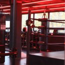 킹스복싱 이미지