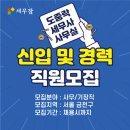 세무사사무실 티스토리