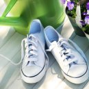 신영세탁 이미지