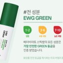 하다파파