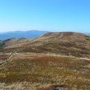 하루에 멍 이미지