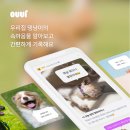 아울 커뮤니티 이미지