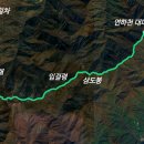 내일 행정사사무소 이미지