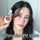 모두소프트 | 샵한현재 소프트 벨벳 립앤치크 톤온톤 데일리 메이크업 후기