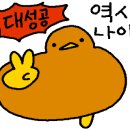 더미인에스테틱