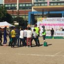 일산초등학교 이미지