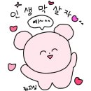 용쓰스토어 | [:3 JMW 팬텀S 노블 드라이기] 카키 색상 구매후기 / 에어루나 스펙 비교