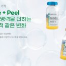 선혜바디