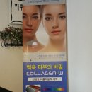 엑스포동우당약국