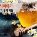 하늘(행복한 밥상) 이미지