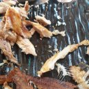 죽변시장 이미지