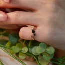 맥스 1호 이미지